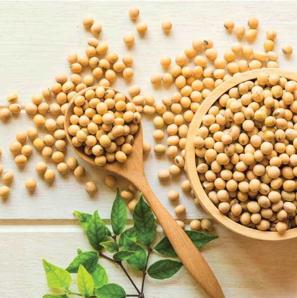 Soy and Phytoestrogens: Exploring the Benefits, Myths, and Facts