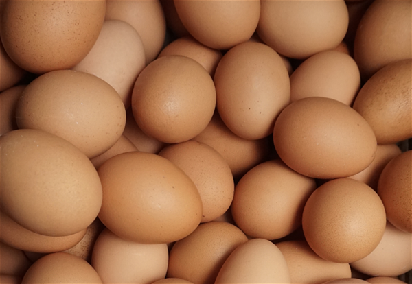 Eggs