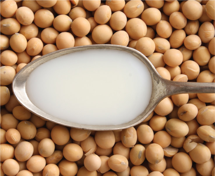 Soy Milk Nutritional Benefits